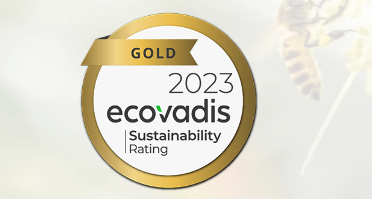 什么是Ecovadis认证?leverage供应链五个维度全面解读Ecovadis