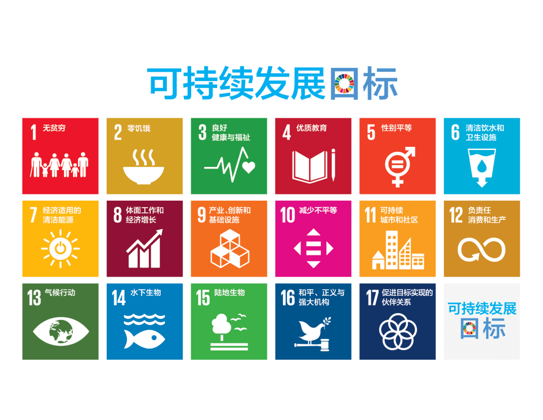 什么是Ecovadis认证?leverage供应链五个维度全面解读Ecovadis