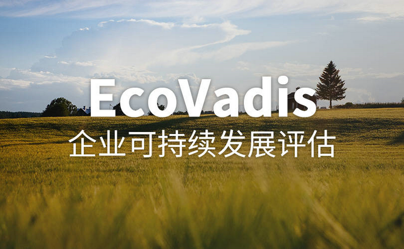 Ecovadis与企业发展的作用及利弊