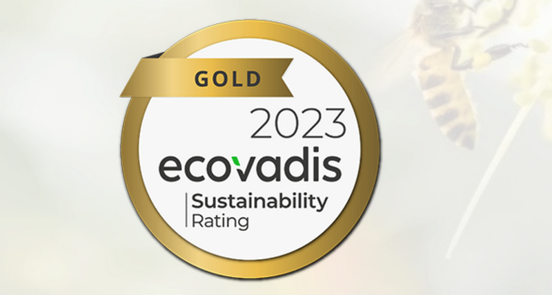 Ecovadis与企业发展的作用及利弊